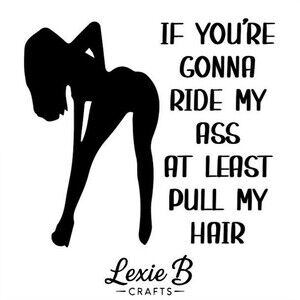 Bumper Vinyl Decal Fun adult humor Sticker Car bumper Laptop Decals 5 inch